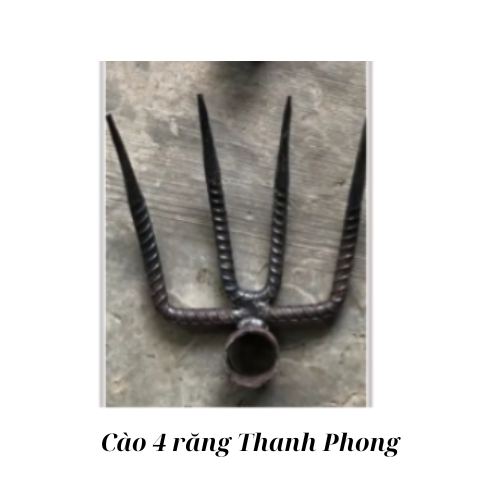 Cào 4 răng Thanh Phong