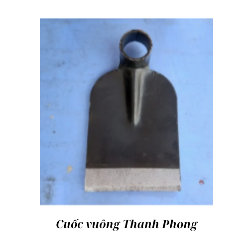 Cuốc vuông Thanh Phong