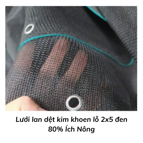 Lưới lan dệt kim khoen lỗ 2x5 đen 80% Ích Nông