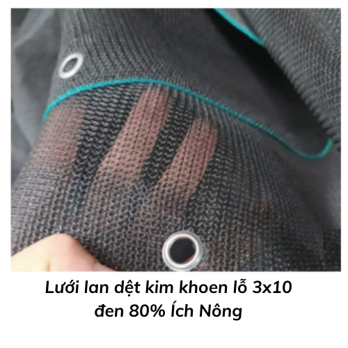 Lưới lan dệt kim khoen lỗ 3x10 đen 80% Ích Nông