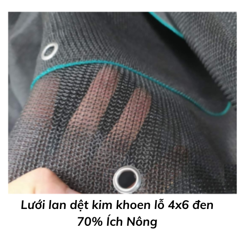 Lưới lan dệt kim khoen lỗ 4x6 đen 70% Ích Nông