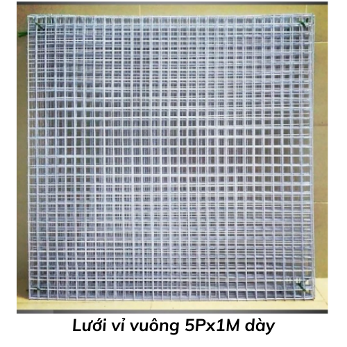 Lưới vỉ vuông 5Px1M dày