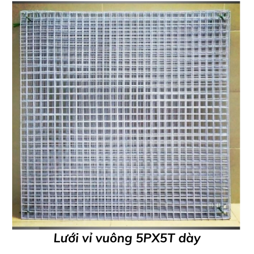 Lưới vỉ vuông 5PX5T dày