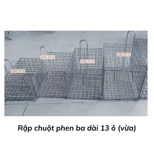 Rập chuột phen ba dài 13 ô (vừa)