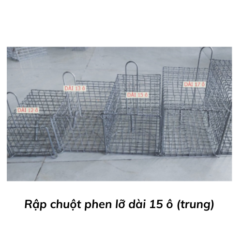 Rập chuột phen lỡ dài 15 ô (trung)