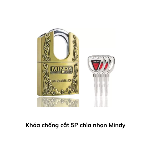 Khóa chống cắt 5P chìa nhọn Mindy