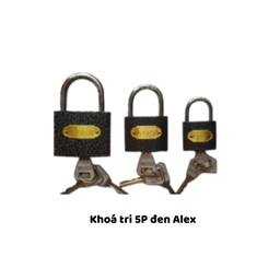 [ALKT5PD] Khoá tri 5P đen Alex