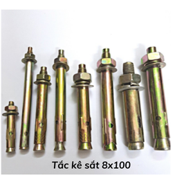 [TKS8100] Tắc kê sắt 8x100