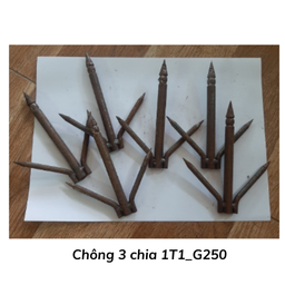 [C3C1T1] Chông 3 chia 1T1_G250