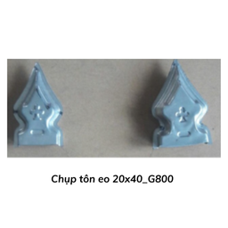 [CTE2040] Chụp tôn eo 20x40_G800