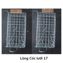 [LCL17] Lòng Cóc lưới 17