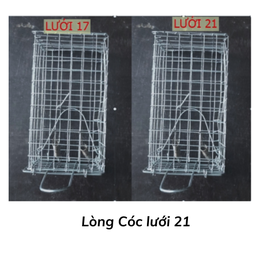 [LCL21] Lòng Cóc lưới 21