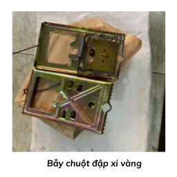 [BCDXV] Bẫy chuột đập xi vàng